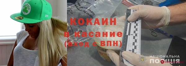 крисы Тында