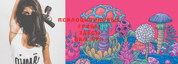 таблы Иннополис