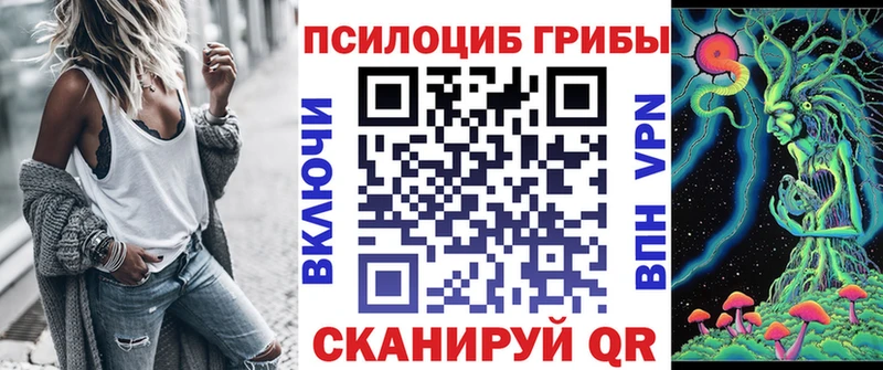Псилоцибиновые грибы Cubensis  OMG как зайти  Медынь 